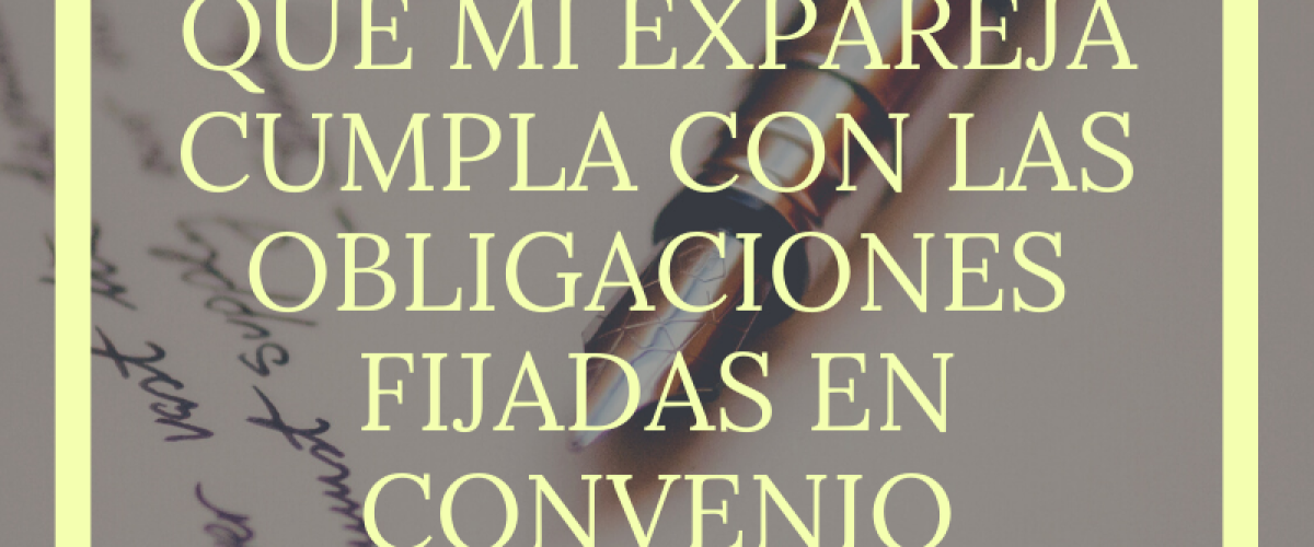 ¿CÓMO PUEDO CONSEGUIR QUE MI EXPAREJA CUMPLA CON LAS OBLIGACIONES FIJADAS EN CONVENIO REGULADOR O SENTENCIA?