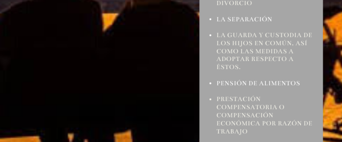 DIVORCIO DE MUTUO ACUERDO