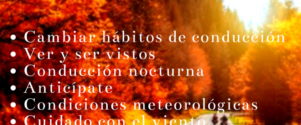 Recomendaciones para conducir seguro en otoño